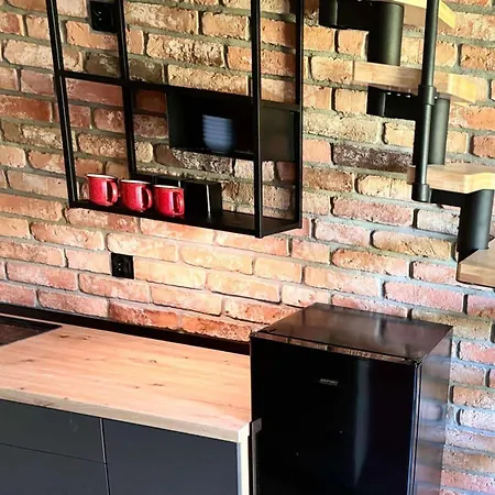 Lofty Nad Warta Apartment *