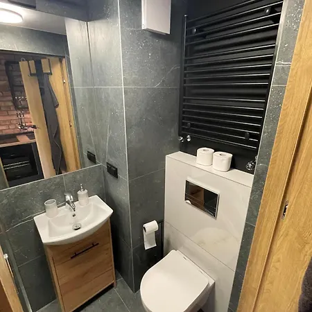 Apartment Lofty Nad Warta